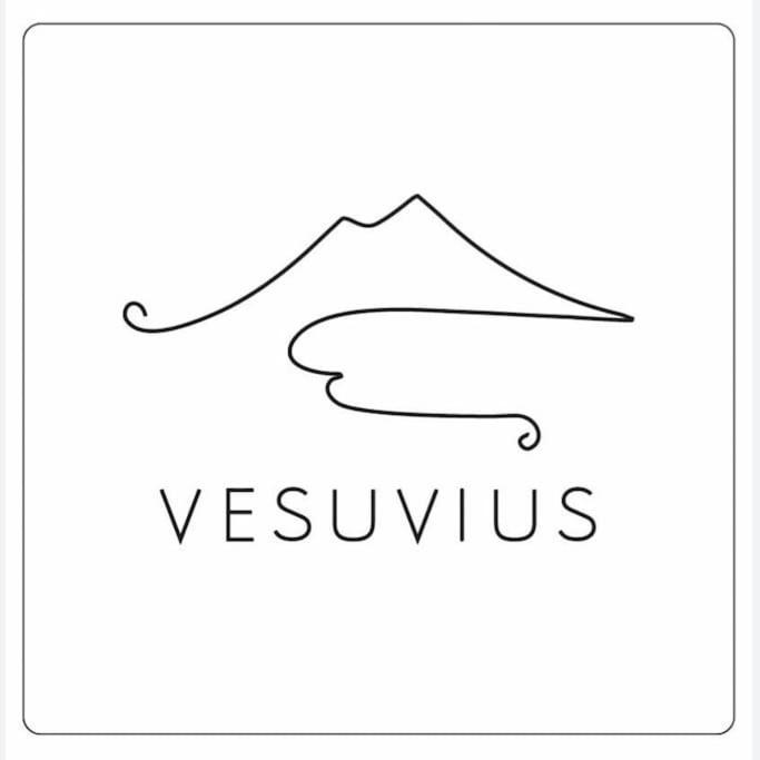 那不勒斯Vesuvius A Mezzocannone公寓 外观 照片
