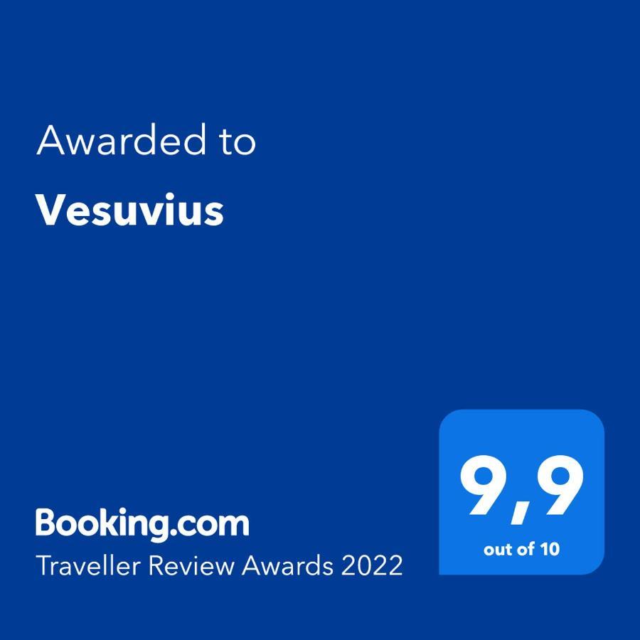 那不勒斯Vesuvius A Mezzocannone公寓 外观 照片